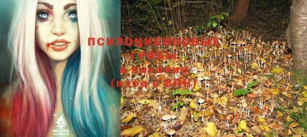 мяу мяу мука Каменск-Шахтинский