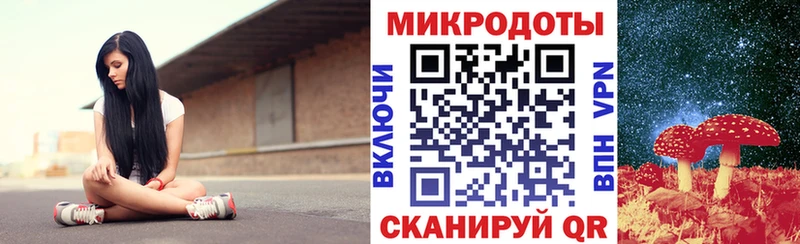 Псилоцибиновые грибы Psilocybe  Купить где  Заполярный 
